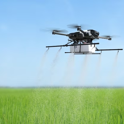 Insecticidas